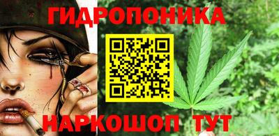 мяу мяу мука Ачхой-Мартан